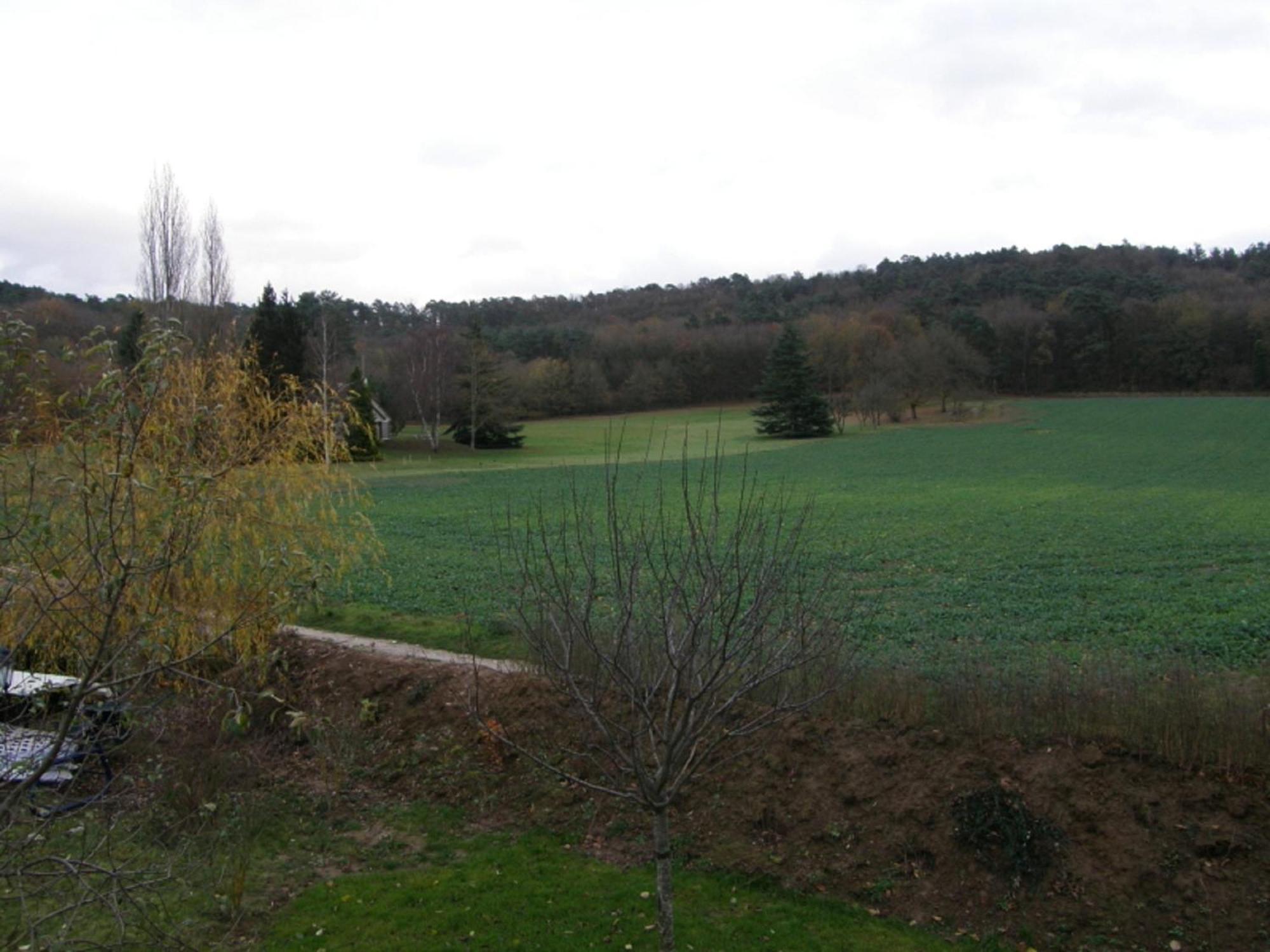 Guigneville-sur-Essonne莱巴德尔旅馆住宿加早餐旅馆 外观 照片