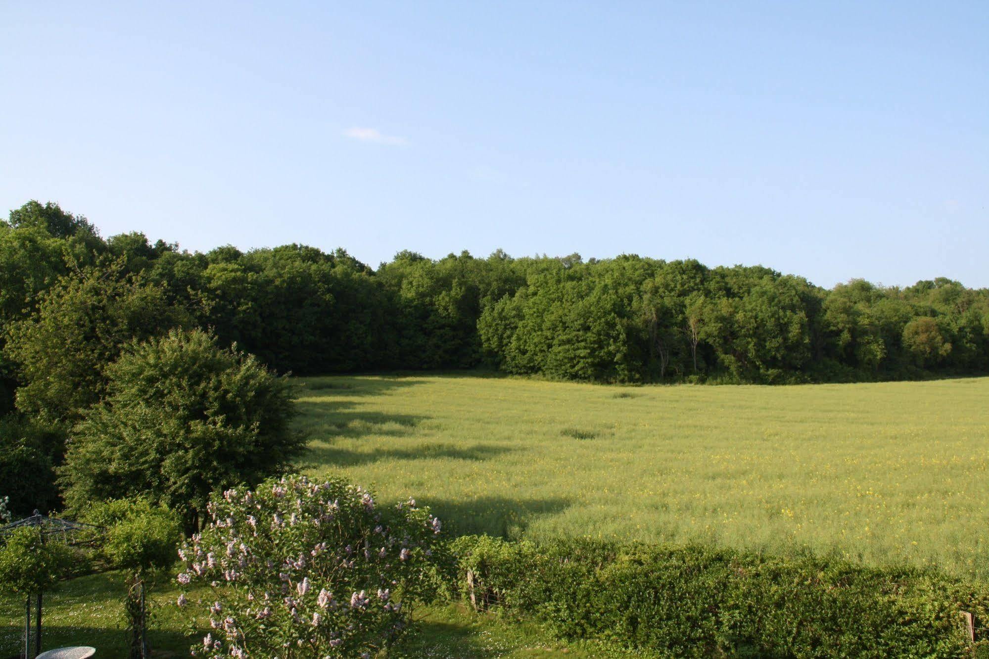 Guigneville-sur-Essonne莱巴德尔旅馆住宿加早餐旅馆 外观 照片