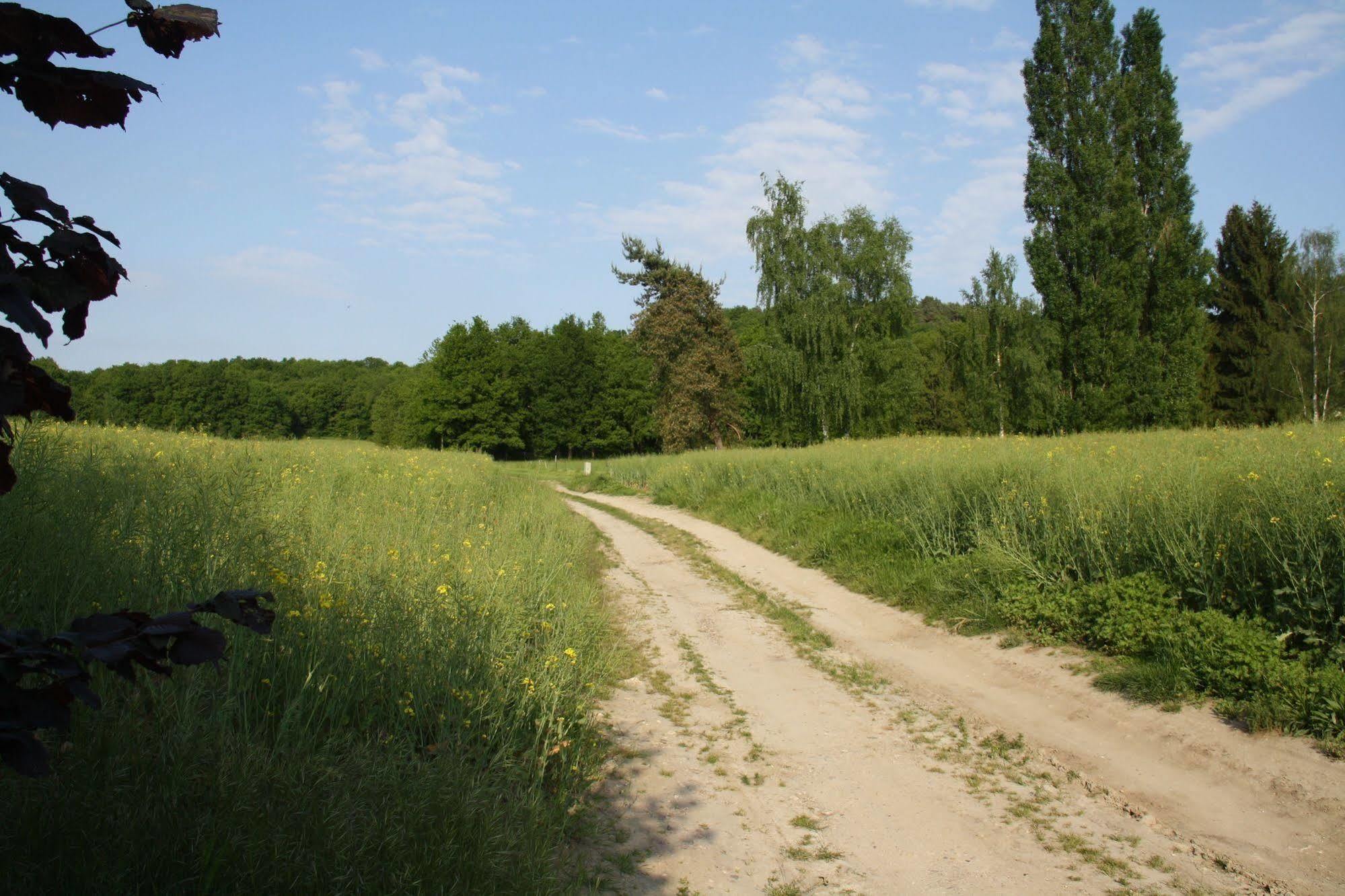 Guigneville-sur-Essonne莱巴德尔旅馆住宿加早餐旅馆 外观 照片